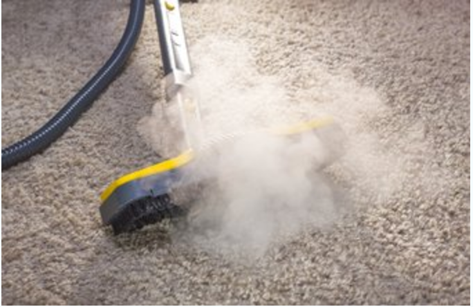carpet and rug steam cleaner in action
