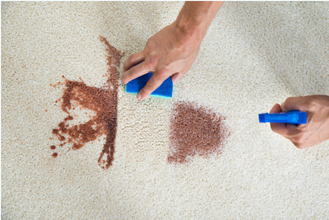 hand cleaning wine stain on carpet with sponge and spray